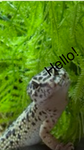 MityMichael .png,