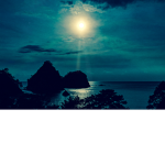 ~Moonlight Gang~