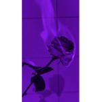 Besti_forever