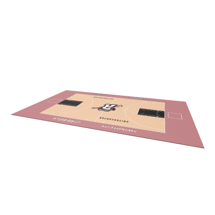 Chicago Rebels Basketball Court