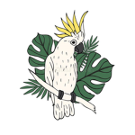 Cockatoo Studios.