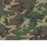 AustraIian Army |AA|