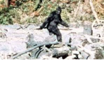 Bigfoots Dev team
