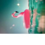 Summer shop <3