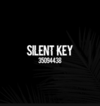s̳i̳l̳e̳n̳t̳ ̳k̳e̳y̳