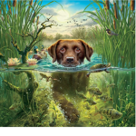 Wir lieben Welpen