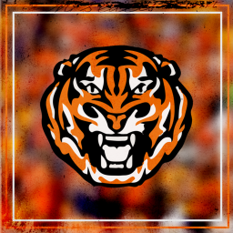 Texarkana Tigers Stadium