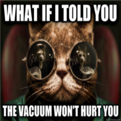 Cat Meme Roblox decal