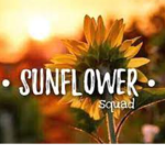 Layla’s sunflower squad