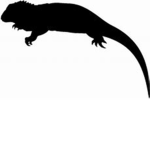 Reptile University