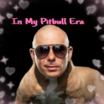 PITBULL OBBY (UPDATE YAHOOOO)