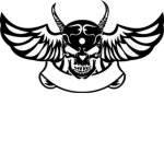 Phoenix wing belivers
