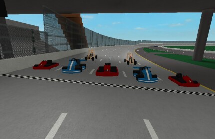 Go karts racing! :D
