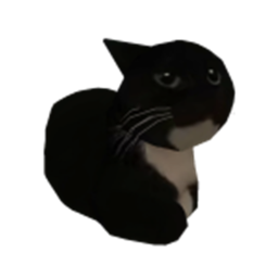 Pray To Maxwell The Cat