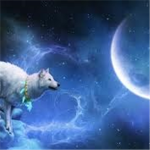 God-Wolves of Survival