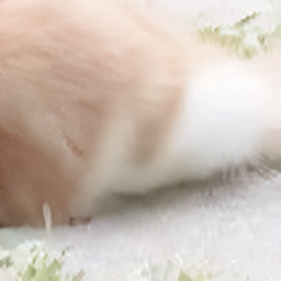 ✧