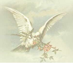 Roses and doves