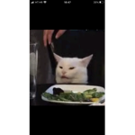 Leptirici220