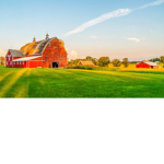 FARM V1BES