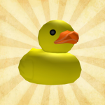 Ducks Are Awesome And Cool!