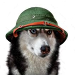 TEAM HUSKYYYY