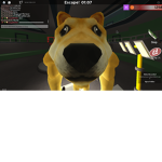 The Buff_Doge Clan