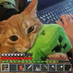 Cat fan group!!!!!!!!