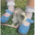 ∙ angellss ∙