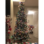 Snowflake’s Icy Christmas