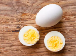 Egg cult United
