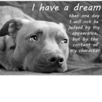pitbulls love