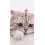 Elle hehehehehhehe
