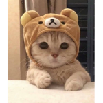 killer cuties