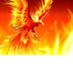 Phoenix the MLG GROUP