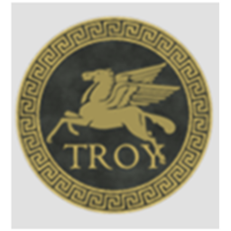 The City of Troy (NEW)