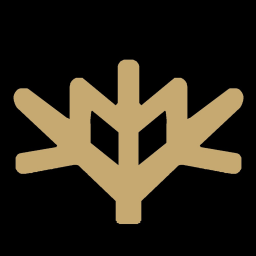 Cota 207