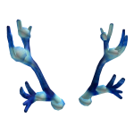 🎁 Frosty Deer