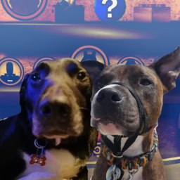 Jasper N Gizmos Cantina