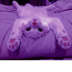 Kaiwaiii