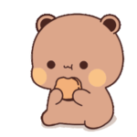 Justice For The Bear