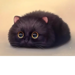 JenyaStarCat