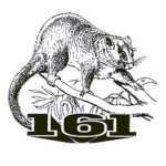 161 (Independent) Reconnaissance Flight 1960's