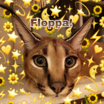 Bingus CAT