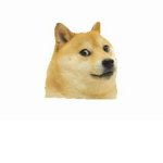 The doges' kindom
