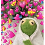 i c o n°
