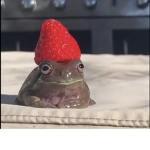 Fish and Frogs