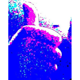 Race