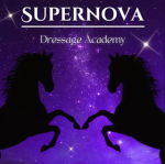 SN Dressage Academy
