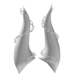 White Horns