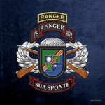 NSA Ranger Detachment